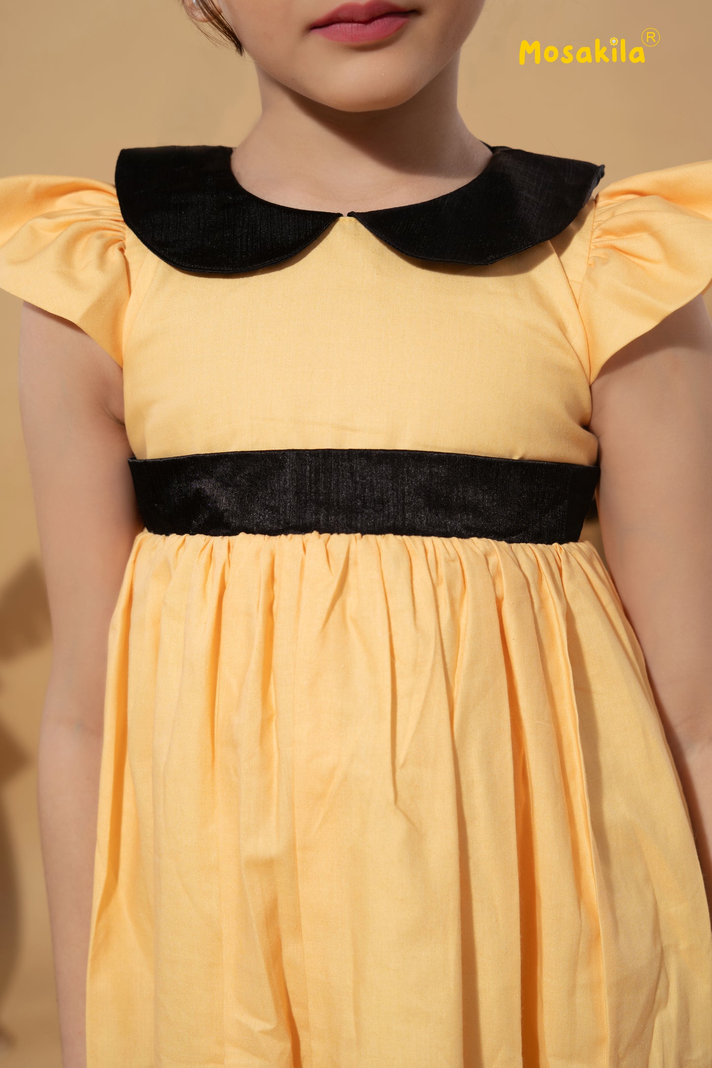 Black & Gold Princess Dress